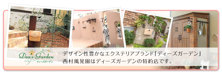 �f�B�[�Y�K�[�f��